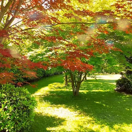 Nido Dei Gelsi Vicino Al Free Parking *