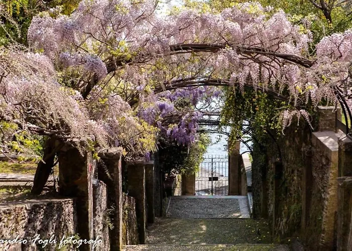 Nido Dei Gelsi Vicino Al Free Parking * 인트라