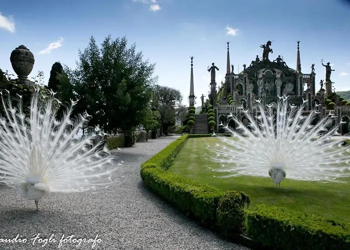 Nido Dei Gelsi Vicino Al Free Parking *